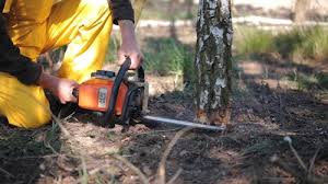 Lawn Grading and Leveling in De Kal, TX