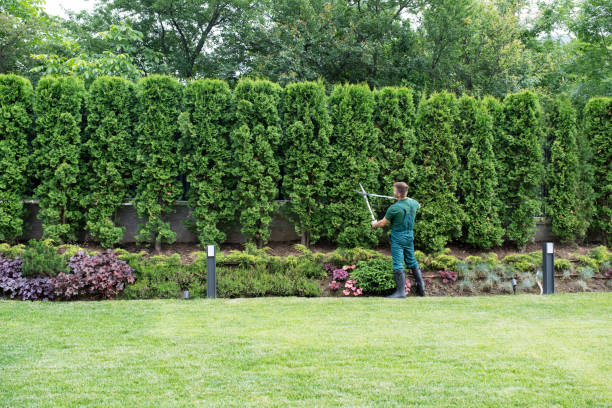 Best Arborist Consultation Services  in De Kal, TX