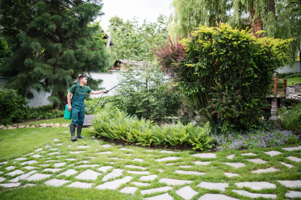 Best Lawn Maintenance Plans  in De Kal, TX